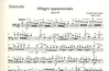 HAL LEONARD Saint-Saens, C. (Kliegel, ed.) : Allegro Appassionato in B Minor, Op.43 (cello and piano)