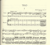 Smetana, Bedrich: Trio in G minor Op.15 (violin, cello, piano)