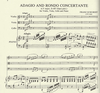 International Music Company Schubert, F.: Piano Quartet Adagio and Rondo (violin, viola, cello, piano)