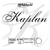 D'Addario KAPLAN 4/4 cello string set, medium