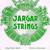Jargar Jargar Classic cello D string forte