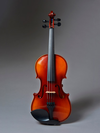 Realist REALIST electric 4-string Standard E-Series violin with case