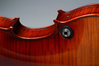 Realist REALIST electric 4-string Standard E-Series violin with case