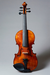 Realist REALIST electric 5-string Pro E-Series violin feat. Instant Active with Frantique finish, Wittner pegs & case