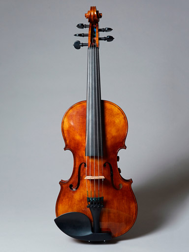 Realist REALIST electric 5-string Pro E-Series violin feat. Instant Active with Frantique finish, Wittner pegs & case