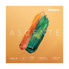 D'Addario D’addario Ascente Viola set