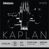 D'Addario D'Addario KAPLAN VIVO 4/4 violin G string, master