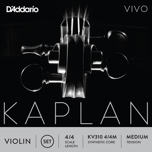 D'Addario D'Addario KAPLAN VIVO 4/4 violin string set, master