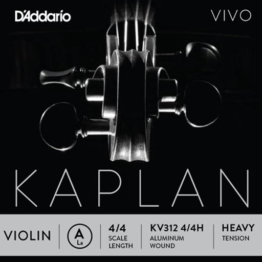 D'Addario D'Addario KAPLAN VIVO 4/4 violin A string, master