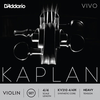 D'Addario D'Addario KAPLAN VIVO 4/4 violin string set, master