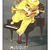 Metzler Gift Card - Musical Clown
