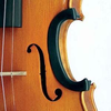 C-CLIP violin C-Bout Protector, soft plastic