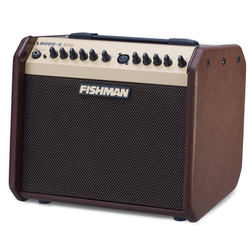 Fishman Fishman Loudbox Mini acoustic amp 60 watts 20 lbs