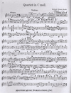 LudwigMasters Strauss, Richard: Piano Quartet in C minor, Op. 13 (violin, viola, cello, piano)