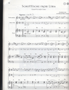 HAL LEONARD Jones, E.H.: The Nordic Fiddler (violin & piano, complete with CD)