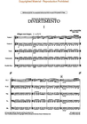 HAL LEONARD Bartok, B.: Divertimento for String Orchestra (SCORE)