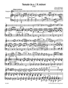 Barenreiter Schubert, Franz: Sonata in A minor, D 821 ''Arpeggione'' (viola & piano) Barenreiter