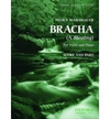 Warshauer, Meira: Bracha-A Blessing (Violin & Piano)