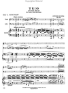 International Music Company Dvorak, Antonin: Piano Trio Op.26 (violin, cello, piano)