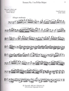 HAL LEONARD Schirmer Cello Classics-19 Pieces by 14 Composers-Intermediate to Advanced