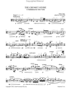Tann, Hilary: The Cresset Stone (viola solo)