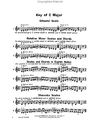 HAL LEONARD Whistler, H. & Hummel, H.: Intermediate Scales and Bowings for Strings (violin)