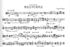 HAL LEONARD Tower, Joan: Wild Purple for Solo Viola (viola)