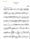 HAL LEONARD Hosokawa, Toshio: Winter Bird and Elegy for Violin Solo