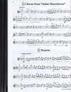 Suzuki: Viola School Vol. 2 (viola & CD)