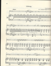 HAL LEONARD Schubert, F. (Kummer, arr./Birtel, ed.): Schubert-Lieder, 25 Transcriptions, Vol. 2 (cello and piano)