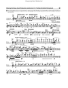 Barenreiter Wulfhorst: The Orchestral Violinist's Companion, Vols.1 & 2 (violin) Barenreiter