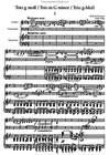Barenreiter Smetana, Bedrich (Bartos): Trio in G minor (violin, cello, piano) Barenreiter