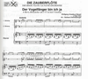 Carl Fischer Mozart, W.A.: Magic Flute (2 violins & piano)