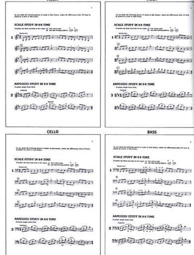 Alfred Music Matesky, R. & Womack, A.: (Score) Learn to Play a Stringed Instrument!, Bk.3 (teacher's guide, piano accompaniment)