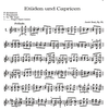 Alfred Music Dont, Jakob: Etudes & Caprices Op.35 (violin)