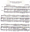 Carl Fischer Perlman/Ambrosio (arr): Festival Performance Solos (Piano Accompaniment) Vol.1-2