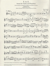 Carl Fischer Schumann, Robert: Sonatas for Violin & Piano Vol.2 WoO2