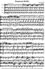 Carl Fischer Strauss, Johann (Martelli): Perpetuum Mobile (string quartet)