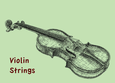 Violin Strings