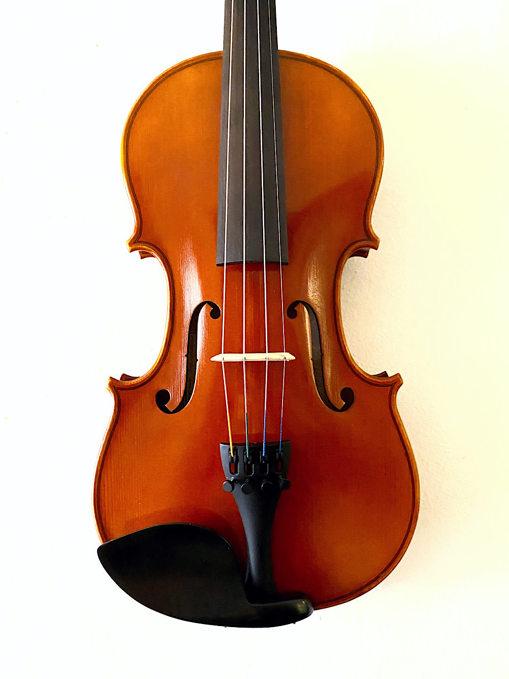 Serafina DX 4/4 violin with free case, bow, rosin & polish cloth