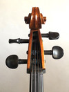 Serafina DX 4/4 cello, fully carved | Metzler Violins