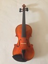 Serafina Serafina DX 14" viola outfit, with free case, bow, rosin & polish cloth