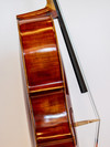 "Xavier" model 4/4 cello