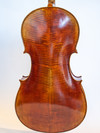 "Xavier" model 4/4 cello