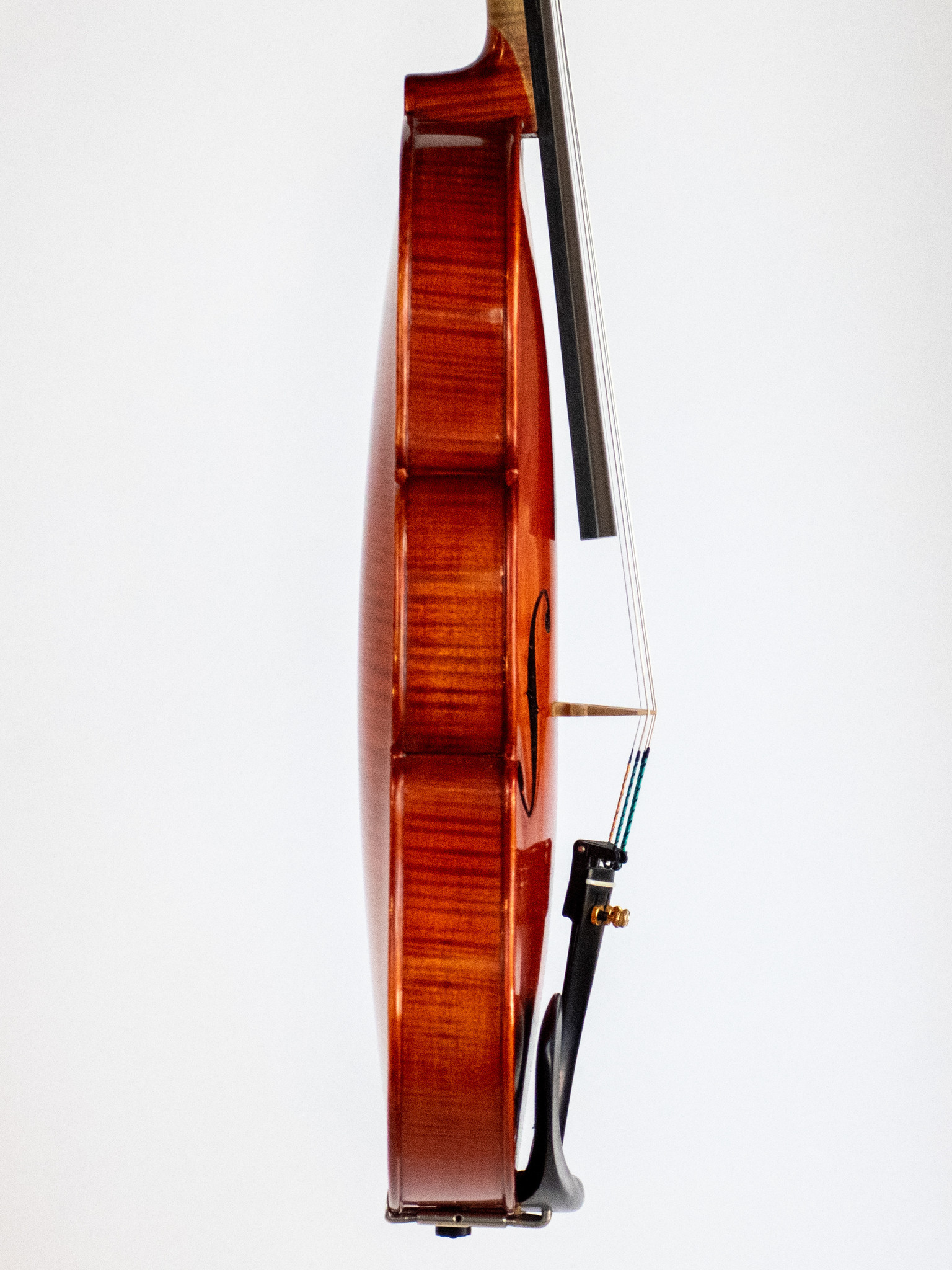 E.H. Roth 15 Strad model viola