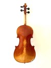 Belgian Henri Delille violin, 4/4, Belgium | Metzler Violins
