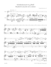 Barenreiter Seitz, F.: Student Concerto in G minor Op. 12 (violin & piano) Barenreiter