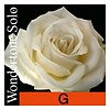 Pirastro WONDERTONE SOLO violin G, silver wound