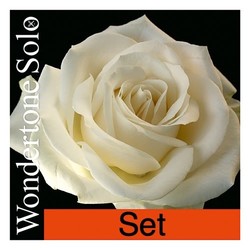 Pirastro WONDERTONE SOLO violin string set,