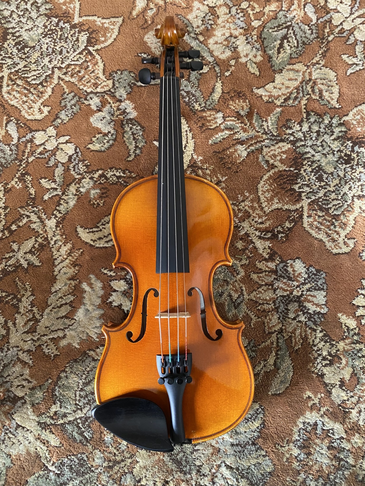 Serafina Used Serafina DX 1/10 violin with free case, bow, rosin & polish cloth (#221) 2020
